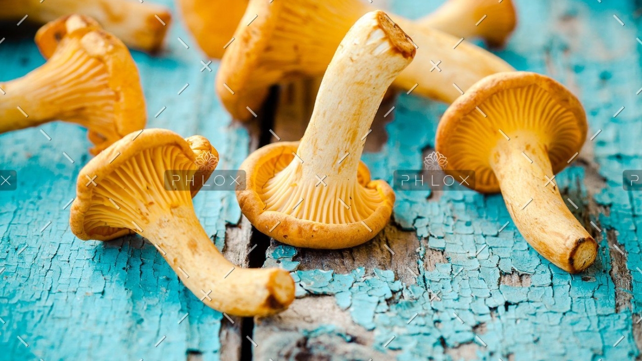 demo-attachment-27-fresh-chanterelle-mushrooms-on-a-wooden-P5YD4CZ